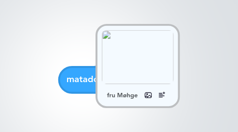 Mind Map: matador