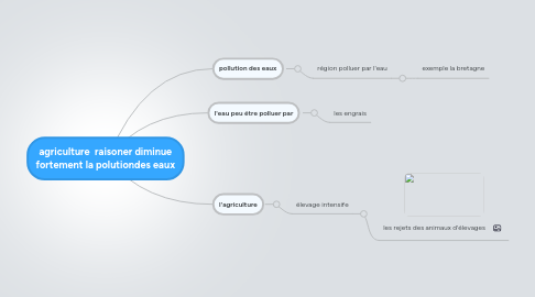 Mind Map: agriculture raisoner diminue fortement la polutiondes eaux