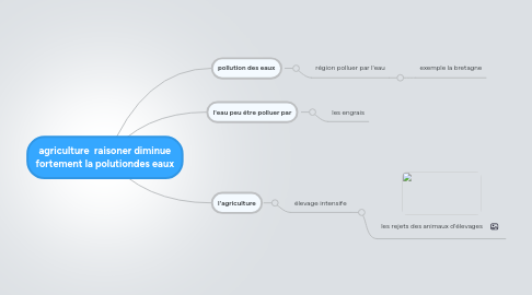 Mind Map: agriculture  raisoner diminue fortement la polutiondes eaux