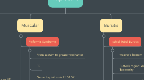 Mind Map: Hip Joint