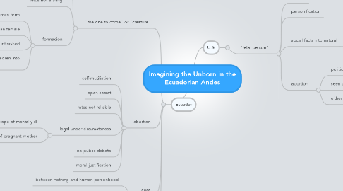 Mind Map: Imagining the Unborn in the Ecuadorian Andes