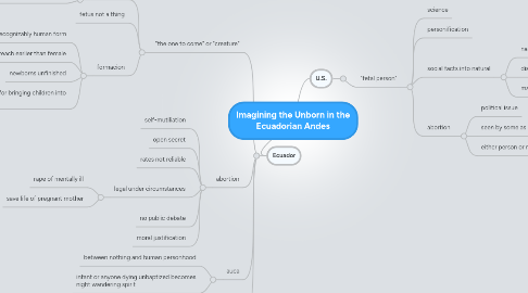 Mind Map: Imagining the Unborn in the Ecuadorian Andes