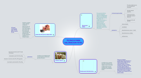 Mind Map: TECNICA PARA VALORACION FETAL