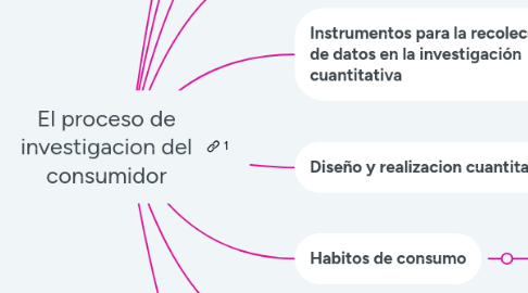 Mind Map: El proceso de investigacion del consumidor