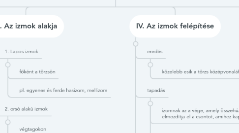 Mind Map: Az ember izomrendszere