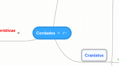 Mind Map: Cordados