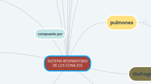 Mind Map: SISTEMA RESPIRATORIO DE LOS CONEJOS