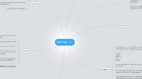 Mind Map: White Tiger