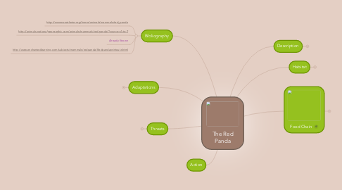 Mind Map: The Red Panda