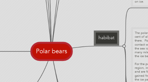 Mind Map: Polar bears