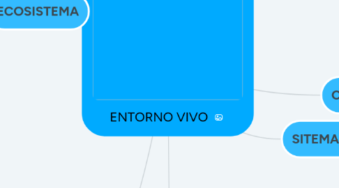 Mind Map: ENTORNO VIVO