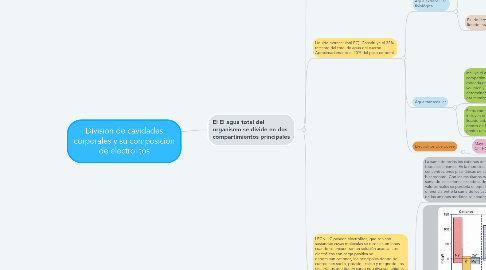 Mind Map: División de cavidades corporales y su composición de electrolitos