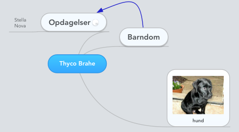 Mind Map: Thyco Brahe