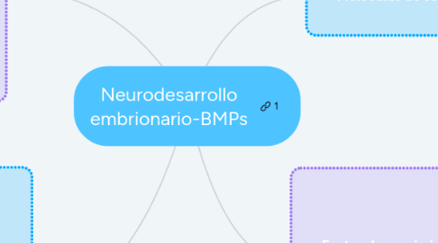 Mind Map: Neurodesarrollo embrionario-BMPs