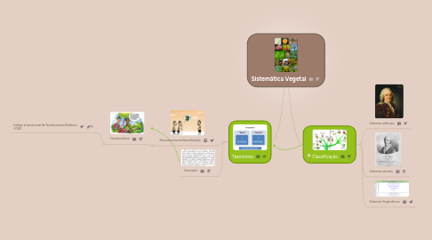 Mind Map: Sistemática Vegetal