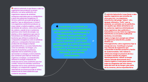 Mind Map: la nutrición: La nutrición es principalmente el aprovechamiento de los nutrientes, manteniendo el equilibrio homeostático del organismo a nivel molecular y macro-sistémico, y por tanto garantizando que todos los eventos fisiológicos se efectúen de manera correcta, logrando una salud adecuada y previniendo enfermedades