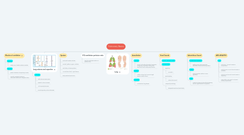 Mind Map: Pulmonary Basics