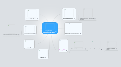 Mind Map: Respiracion: Intercambio de gases