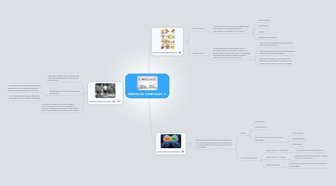 Mind Map: FUENTES DEL CURRICULUM