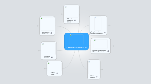 Mind Map: El Sistema Circulatorio