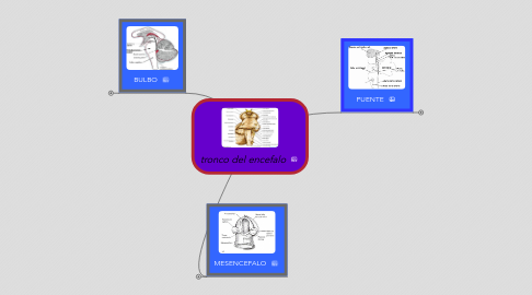 Mind Map: tronco del encefalo