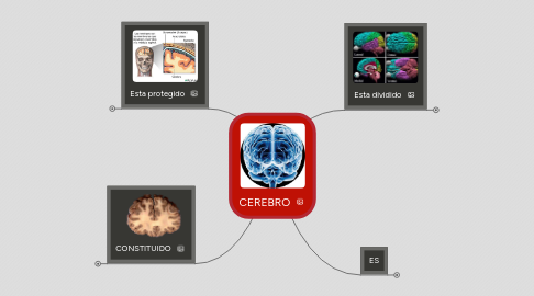 Mind Map: CEREBRO