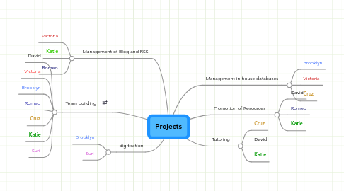 Mind Map: Projects