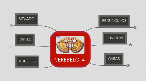 Mind Map: CEREBELO