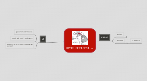 Mind Map: PROTUBERANCIA