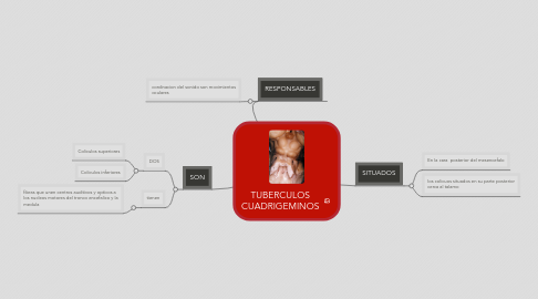 Mind Map: TUBERCULOS CUADRIGEMINOS