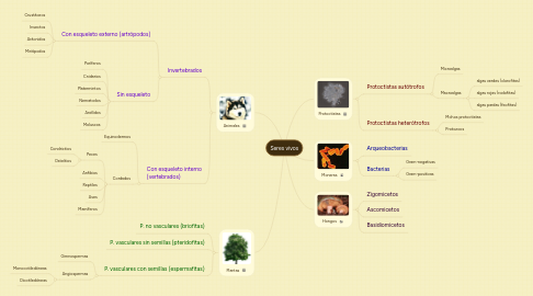 Mind Map: Seres vivos