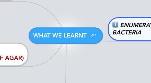 Mind Map: WHAT WE LEARNT