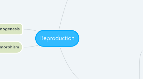 Mind Map: Reproduction