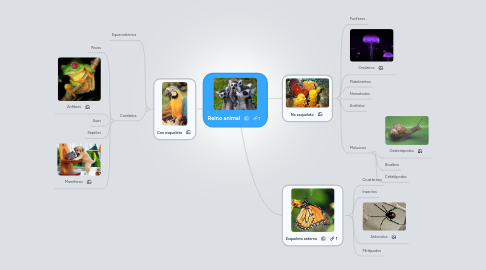 Mind Map: Reino animal