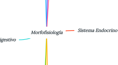 Mind Map: Morfofisiología