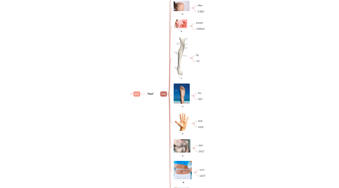 Mind Map: Head