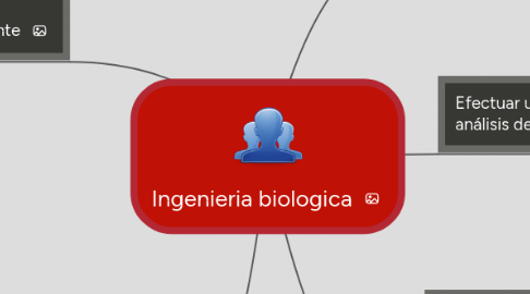 Mind Map: Ingenieria biologica