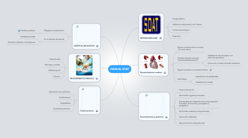 Mind Map: MANUAL SOAT
