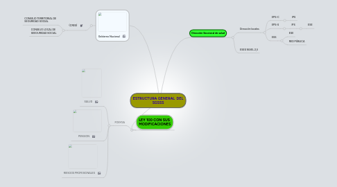 Mind Map: ESTRUCTURA GENERAL  DEL SGSSS