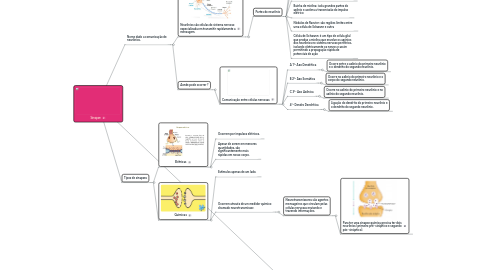 Mind Map: Sinapse