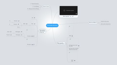 Mind Map: 7th Grade Genetics