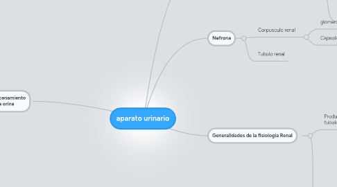 Mind Map: aparato urinario