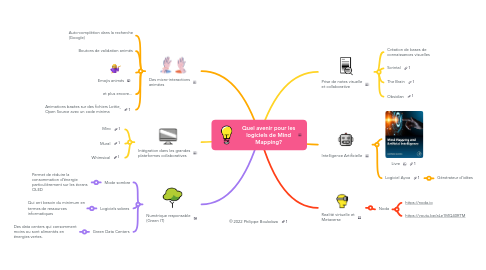 Mind Map: Quel avenir pour les logiciels de Mind Mapping?