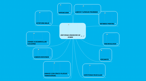 Mind Map: SÍNTOMAS SÍNDROME DE DOWN