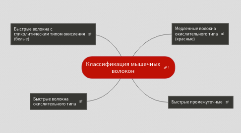 Mind Map: Классификация мышечных волокон