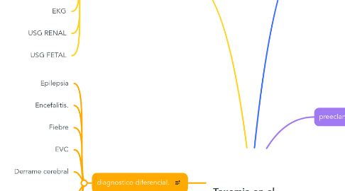 Mind Map: Toxemia en el embarazo.