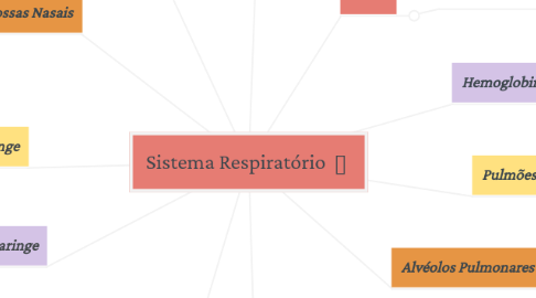 Mind Map: Sistema Respiratório 🫁
