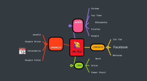 Mind Map: MI PLE