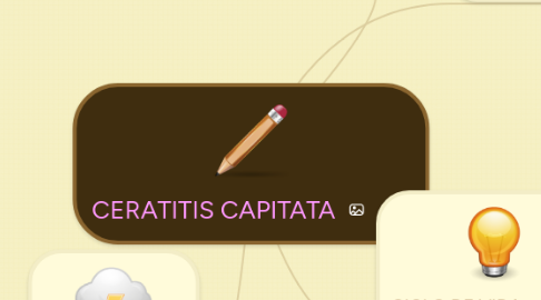 Mind Map: CERATITIS CAPITATA