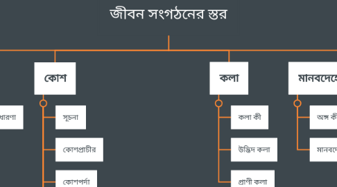 Mind Map: জীবন সংগঠনের স্তর